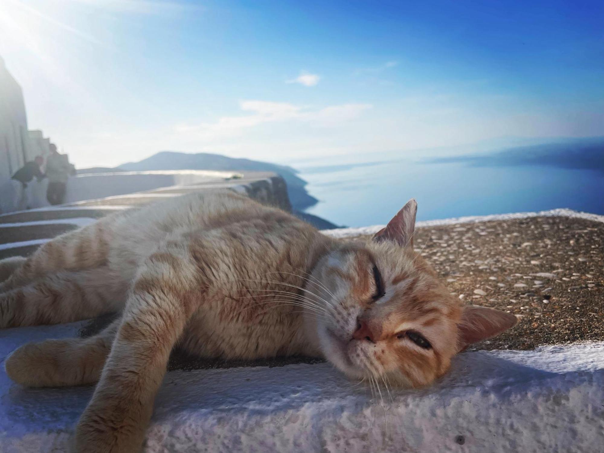 فيلا Folegandros-Cliffhouse المظهر الخارجي الصورة