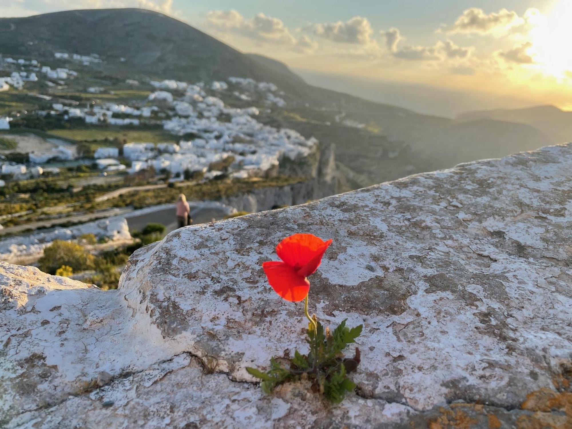 فيلا Folegandros-Cliffhouse المظهر الخارجي الصورة